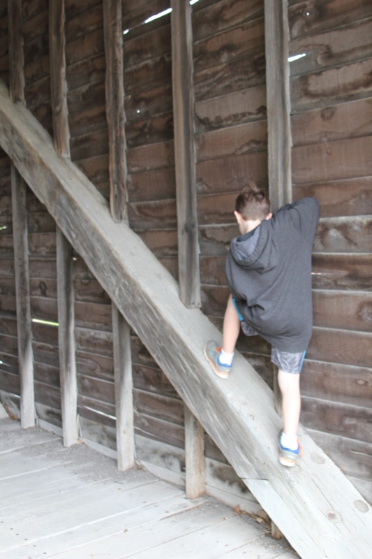 slideshow